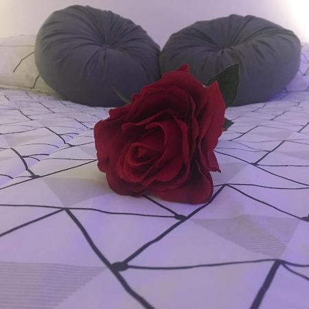 בורז'ה Lovely Studio מראה חיצוני תמונה